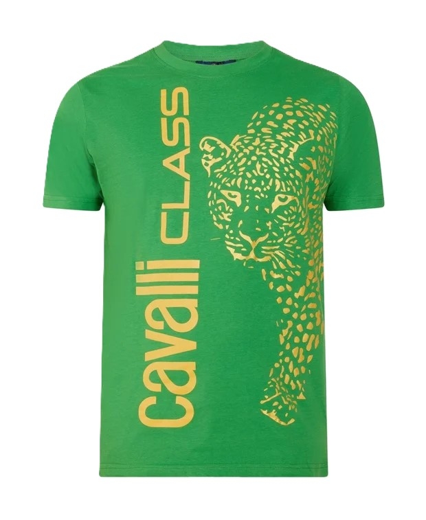 Блуза Cavalli Class